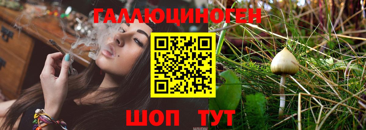 Галлюциногенные грибы мухоморы Узловая